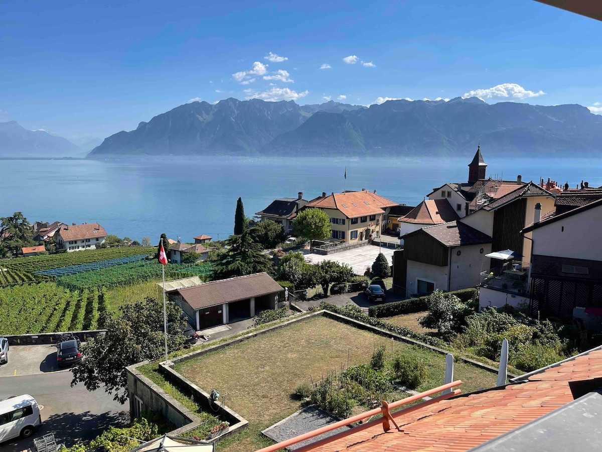 Geneva - Nice place in Lavaux