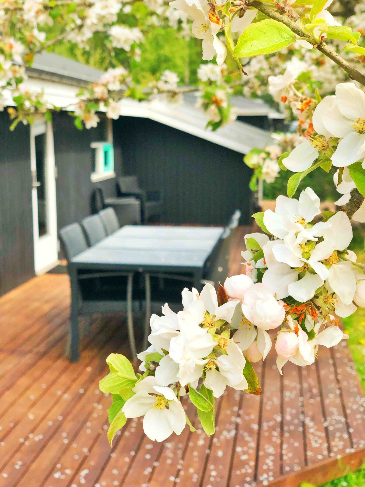 Hyggeligt sommerhus tæt på Århus og sandstrand