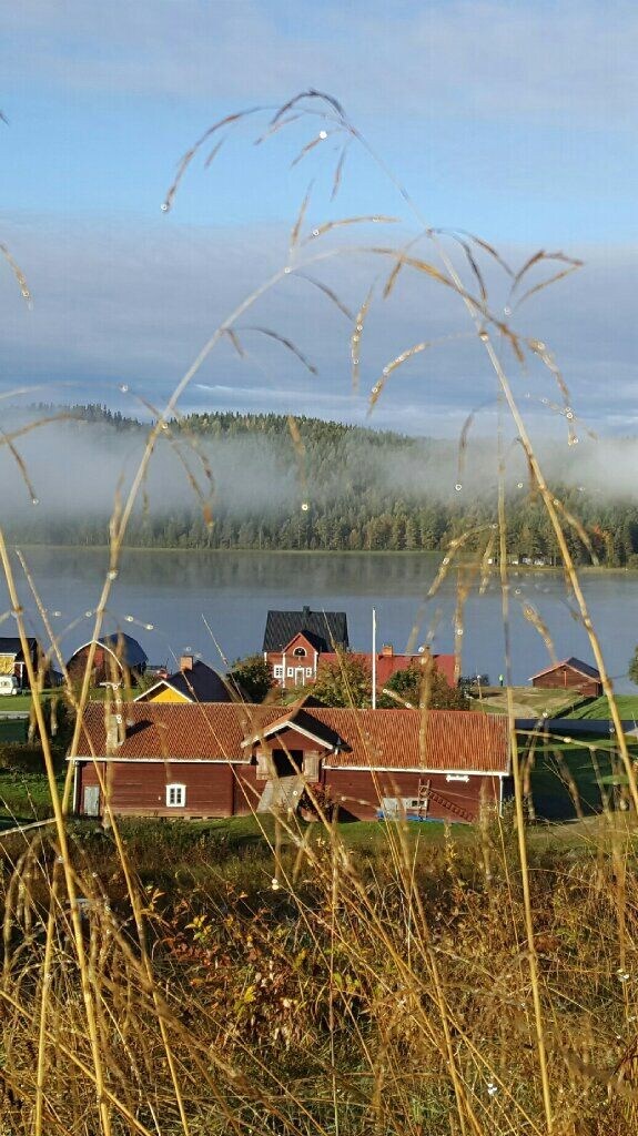 Hällesjö看得见风景的房子（ Gula Huset ）