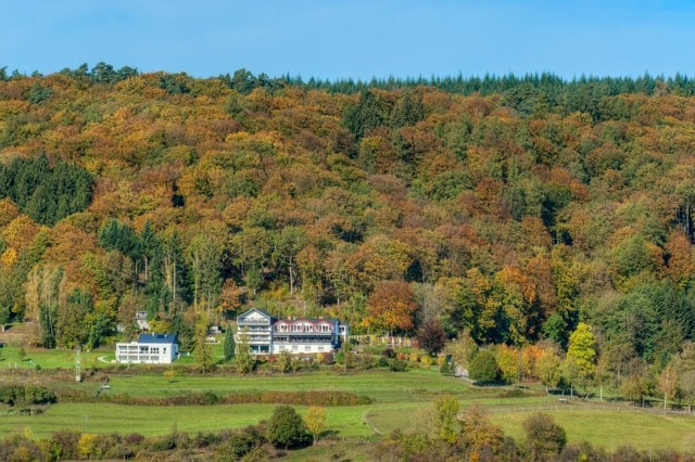 Mullerthal Trail Natur pur 1