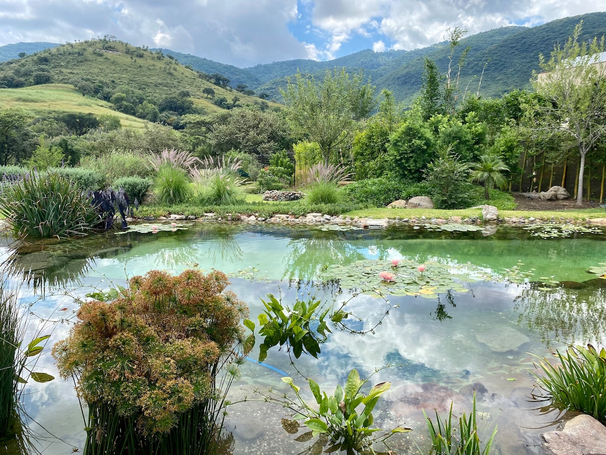 Whisper Garden House ，令人惊叹的生物泳池！ ！