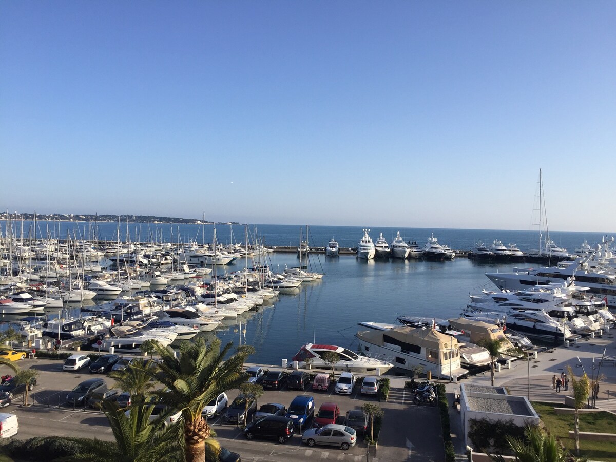 Nice apartment facing sea golfe juan