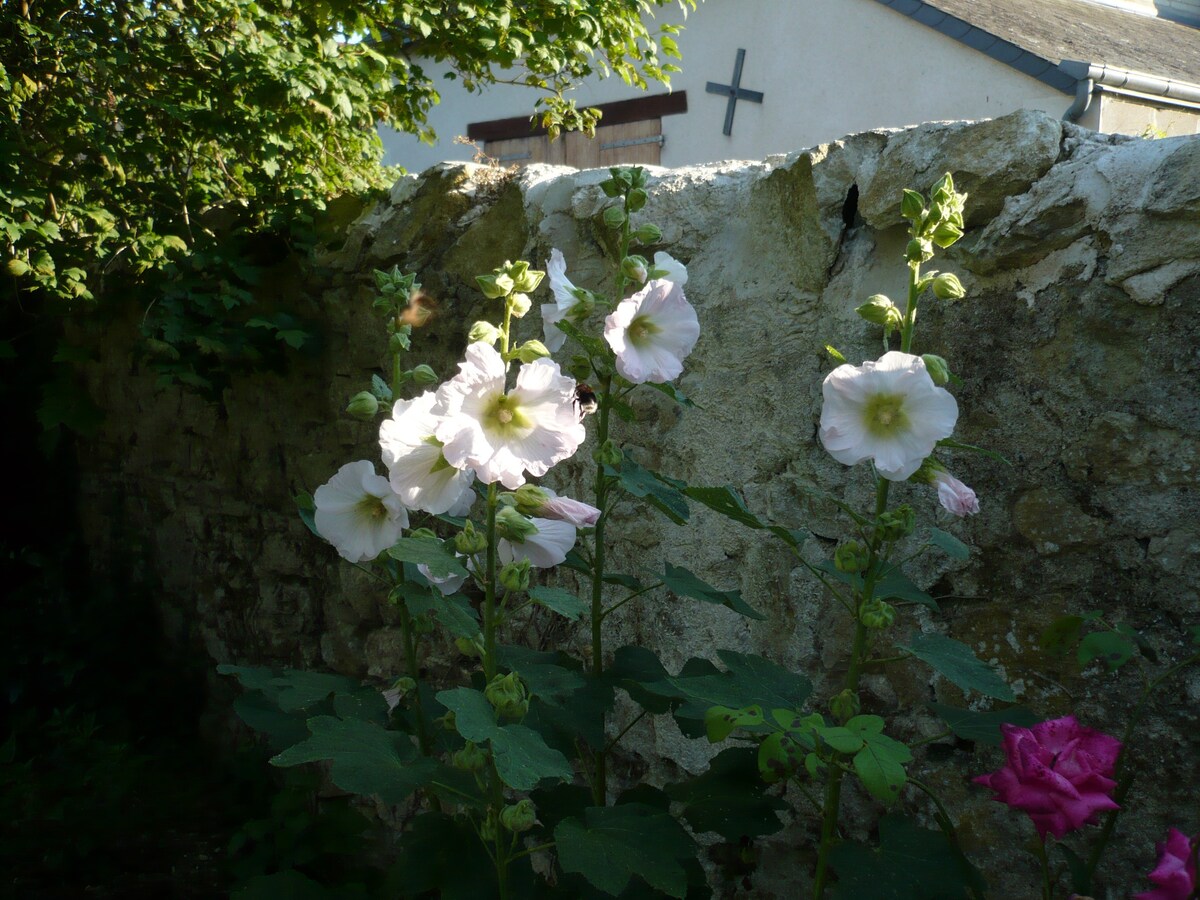 Maison bord de Loire/Loire Valley住宿