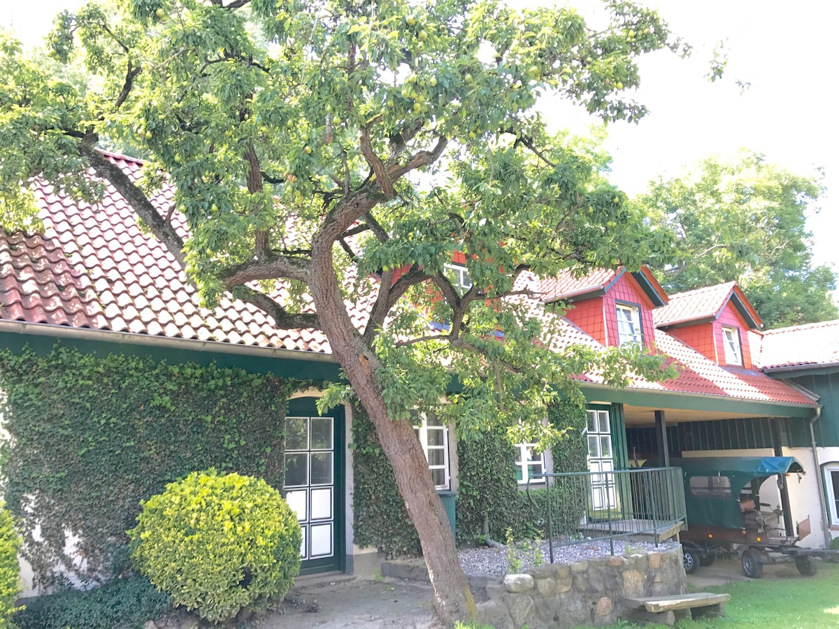 花园别墅-安静的agriturismo ，适合团体波罗的海