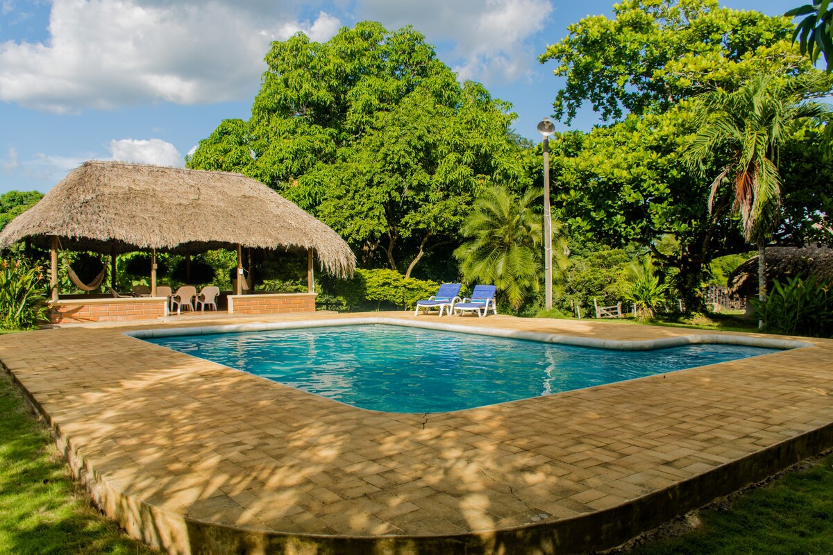 Farm Sanctuary with Pool, Cows and Natural Reserve