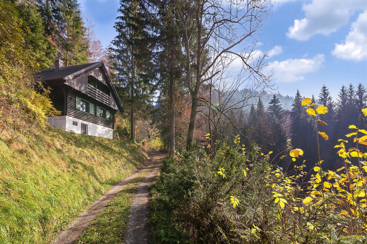 出血区域-甜美、安静的山坡小屋