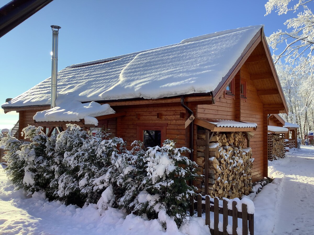 Harzblick小木屋，可欣赏远景和壁炉4A