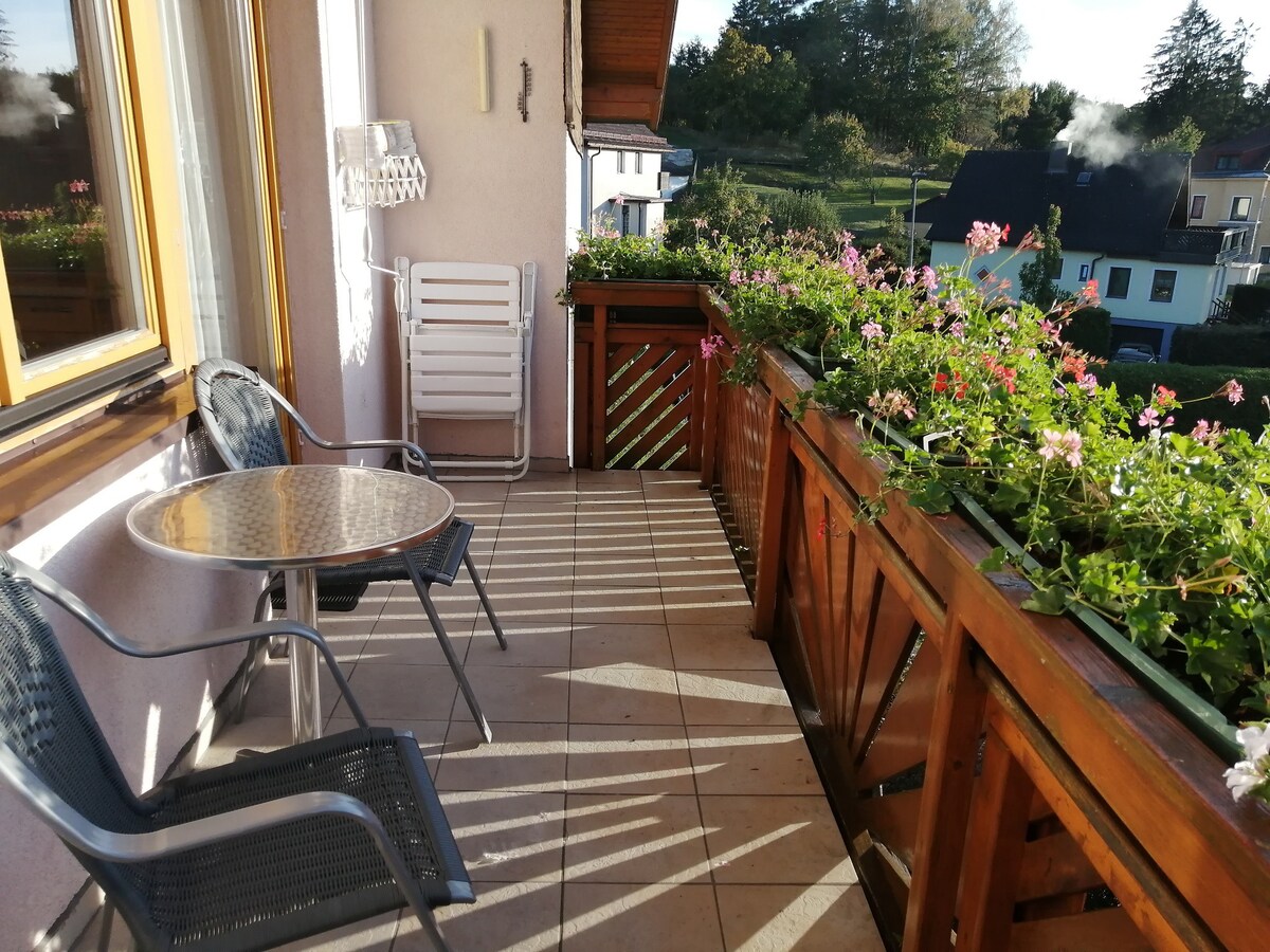 Gästehaus Tropf (Litschau), Appartement 4 mit Balkon