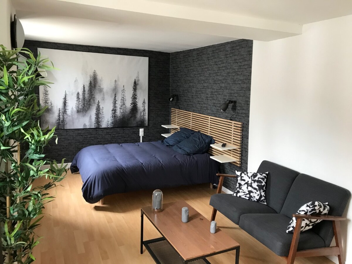 Les appartement de St Etienne