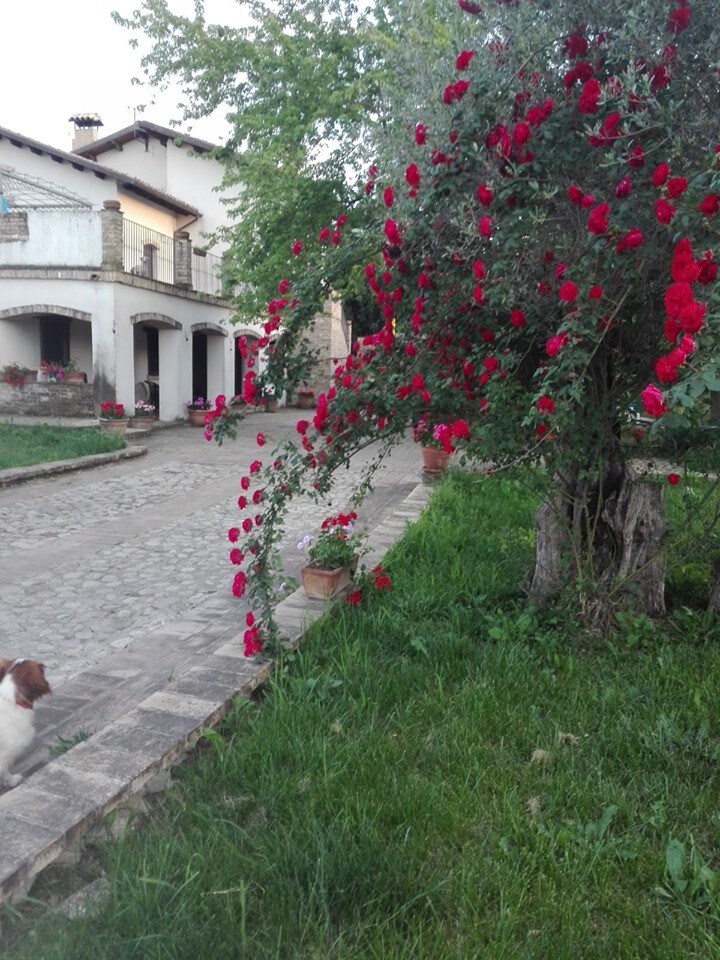 "SANTA FELICITA" BioAgriturismo 3