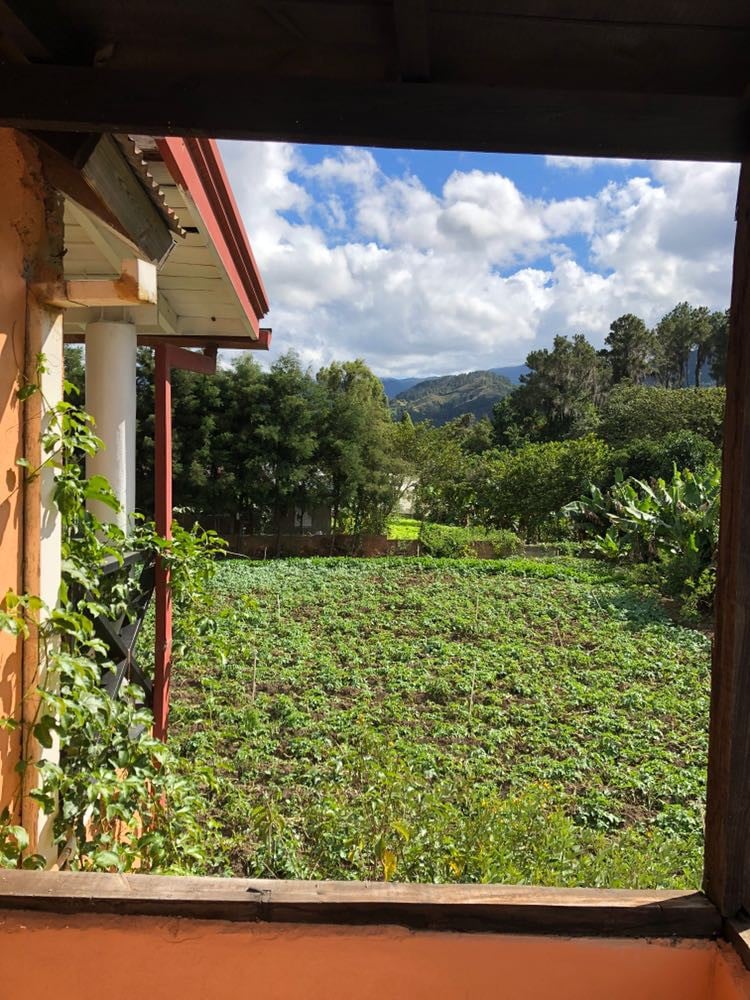 都市小屋