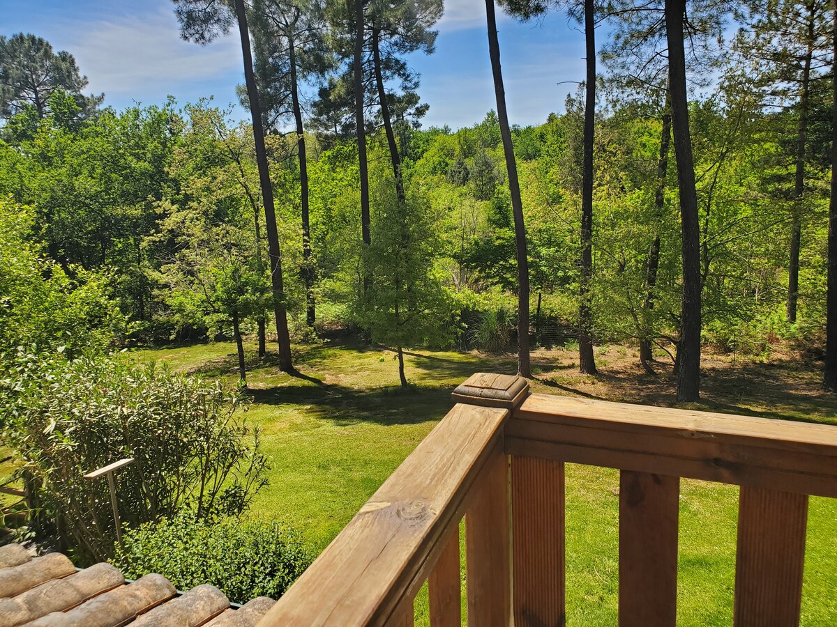 Villa en bois en lisière de forêt.