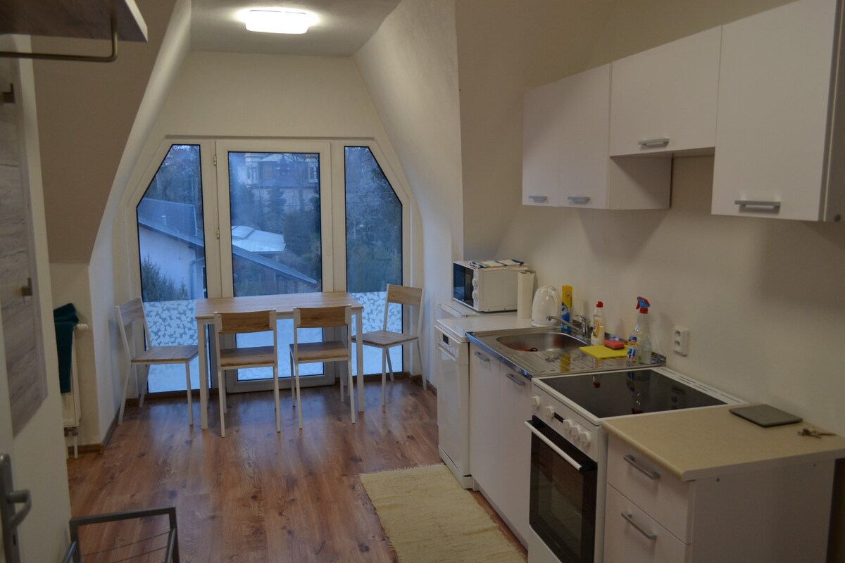 Appartement no. 1 in Nitra under the Zobor-Hill 1