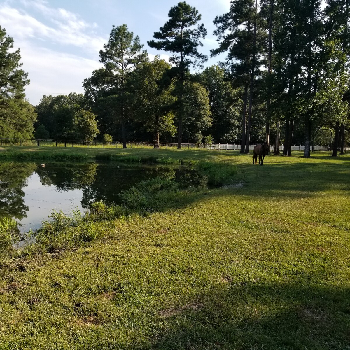 "Sheriff's Office" at Oak Arbor, a forest retreat