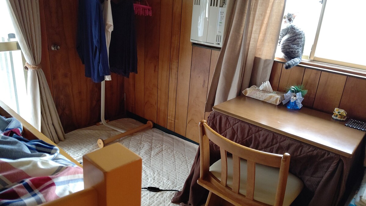 guesthouse_Yashima 2-3 （旧日本房屋里的猫）