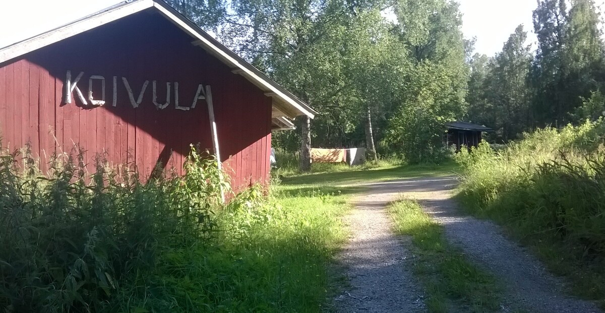 Koivula