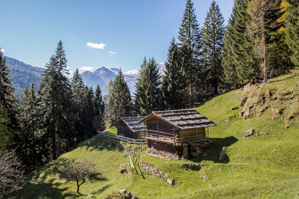 Baita al Prà dei Tassi - Prà dei Tassi cabin