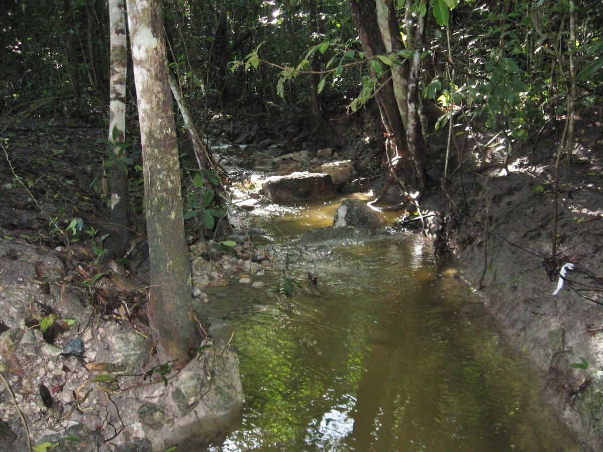 Experience off-grid living at a Bio reserve