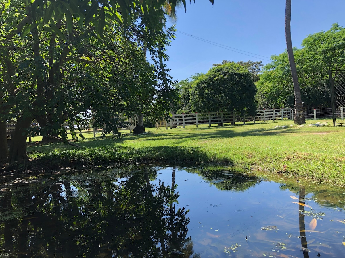 Hacienda Las Tapias。