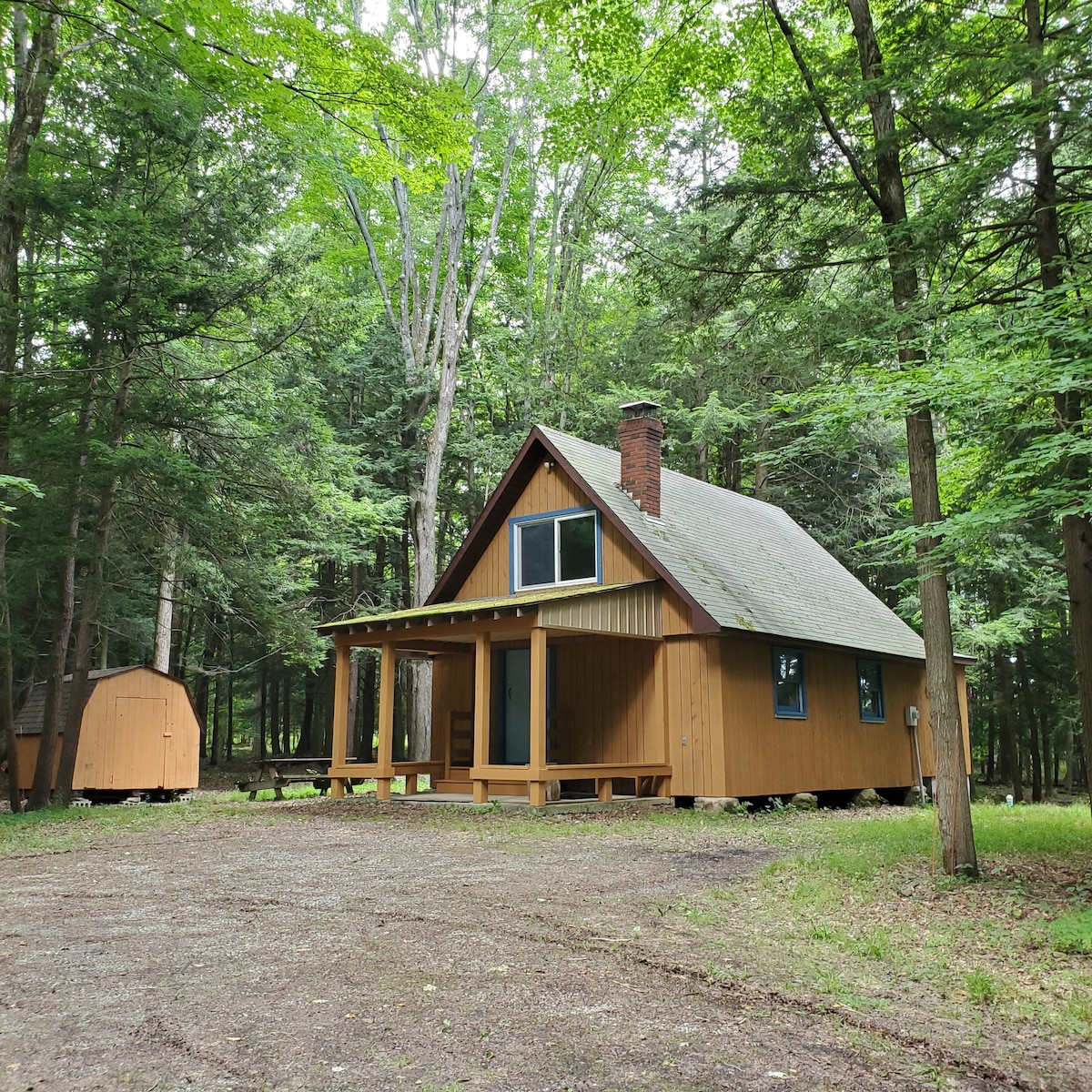 州立公园附近森林中的舒适小木屋