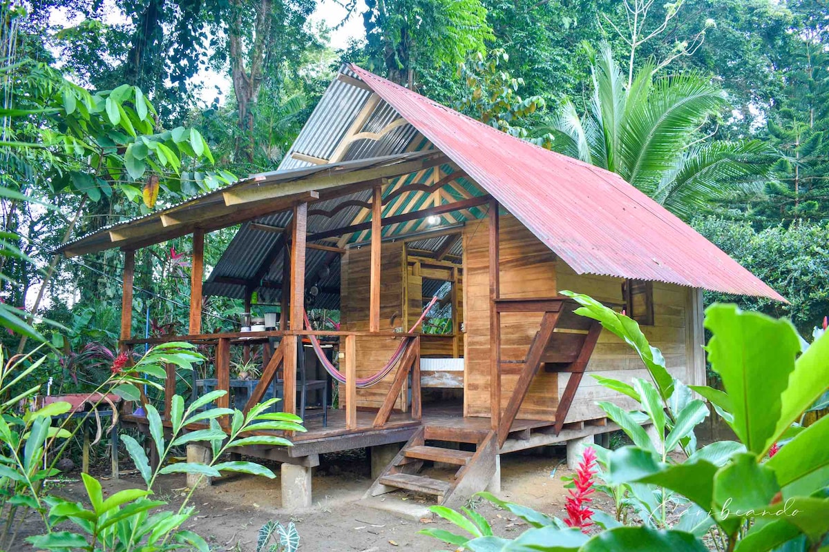 Cabaña Caribeña🌴, in PUNTA UVA 🌊