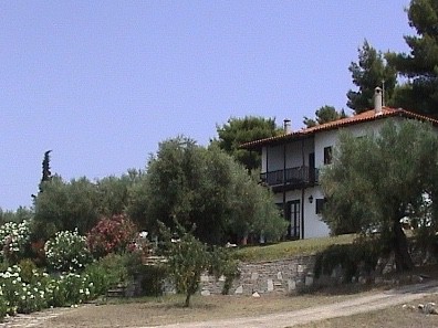 Beach Front Villa