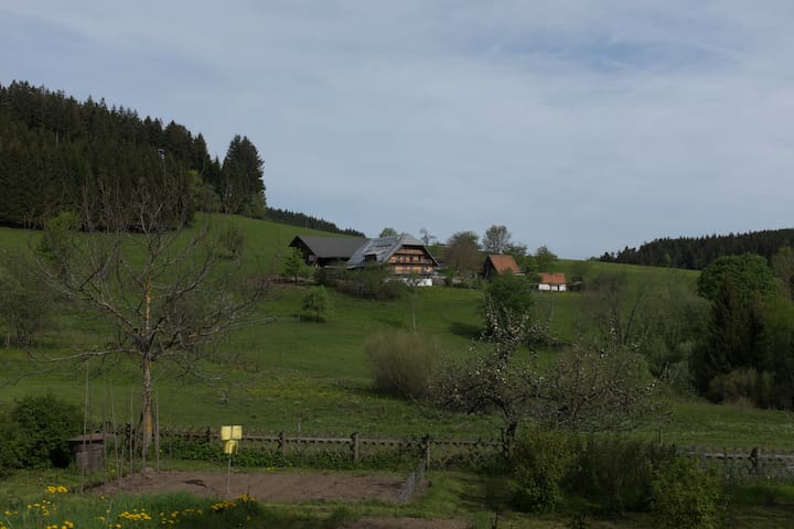 Schonach 的民宿