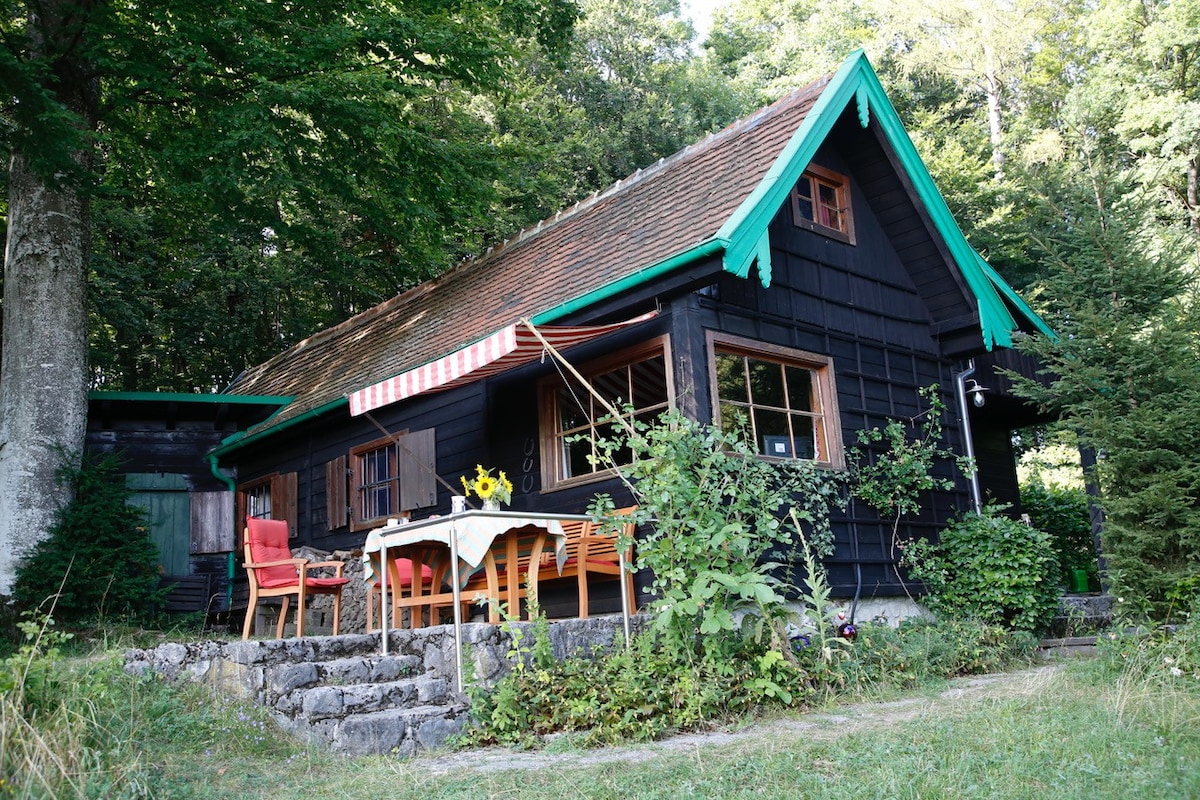 位于Steinebach am Wörthsee的Cottage