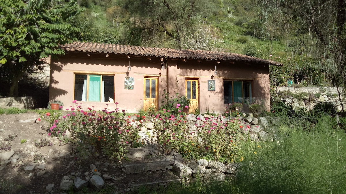 Comfortable Bungalow surrounded by Nature