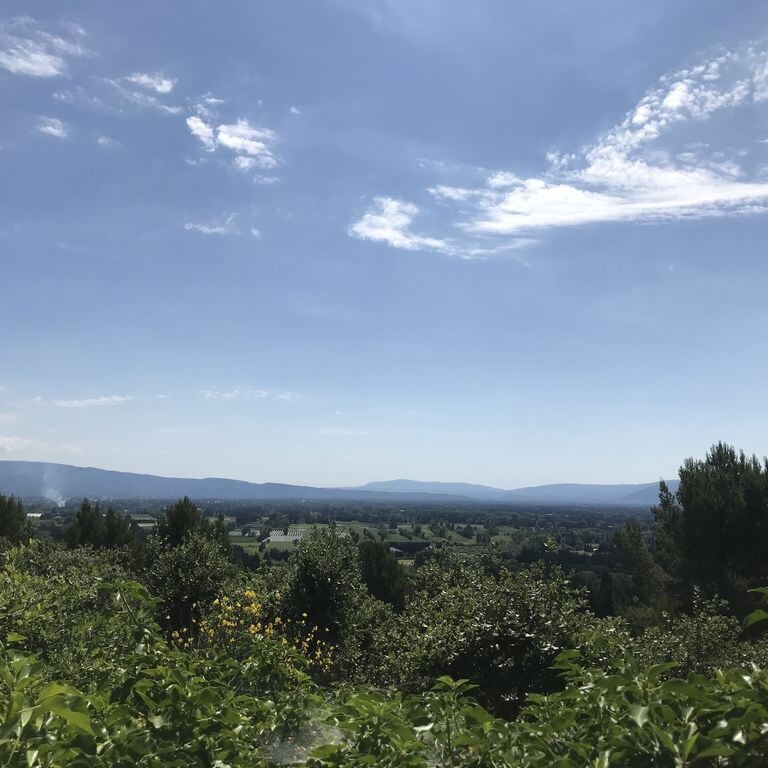 Villa avec vue imprenable au milieu des bois