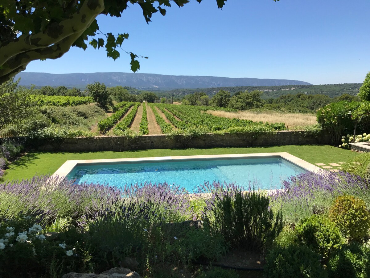 Stunning French Mas in Provence near Gordes.