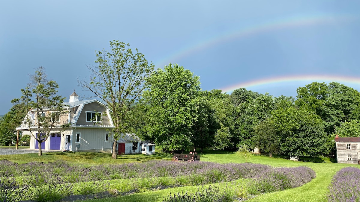 La Soledad Lavender Farm on the Potomac