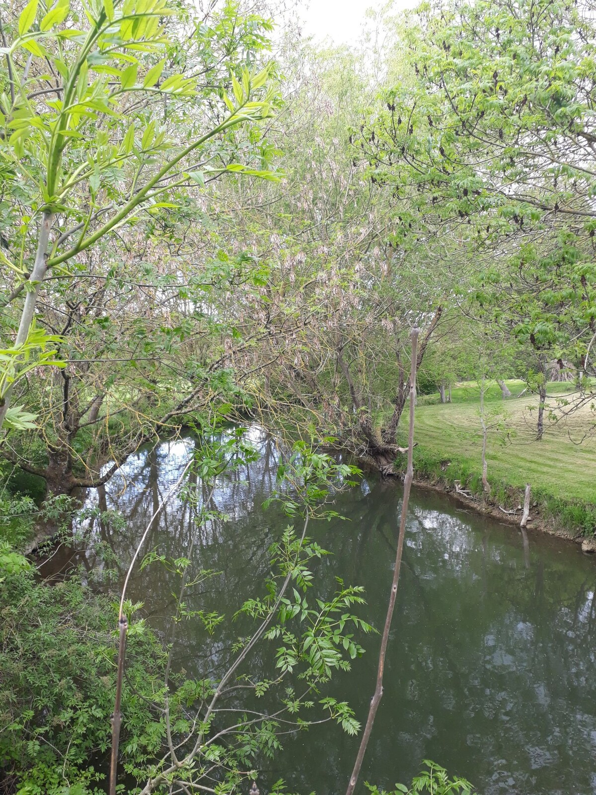 Le petit gîte des Monteaux