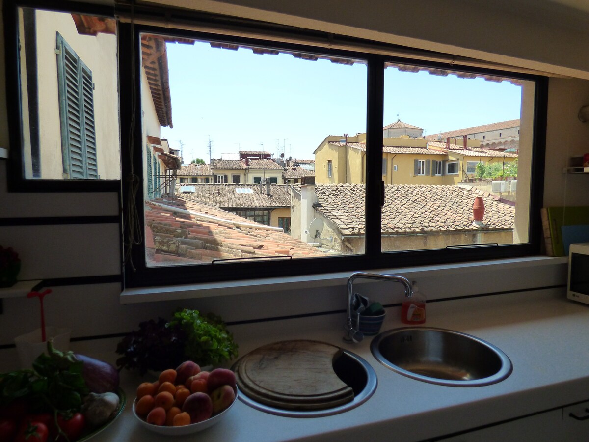 可俯瞰屋顶的Borgostella公寓