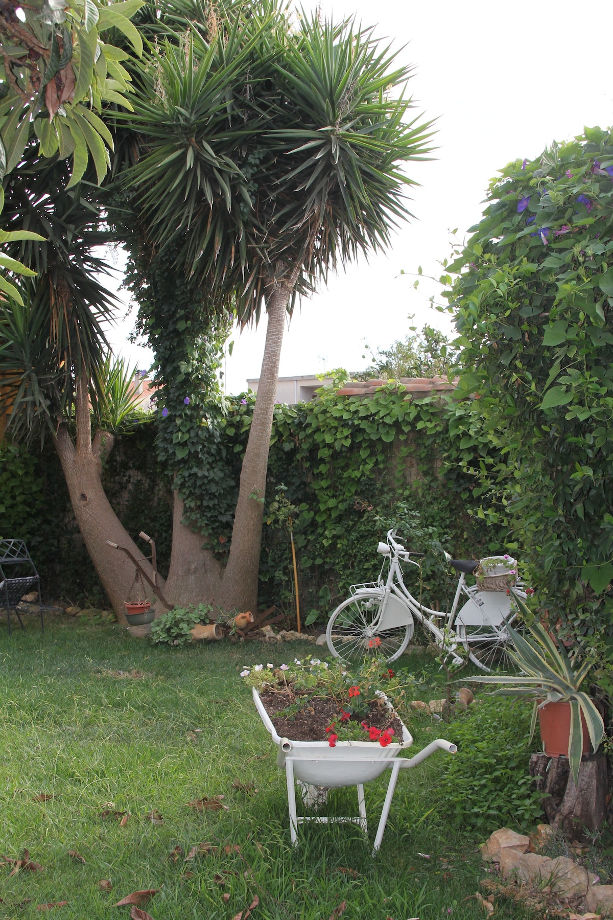 Monolocale spazioso open-space con giardino