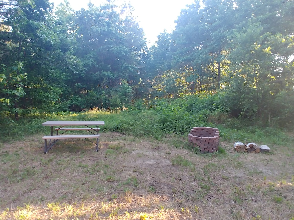 Eastern Shore Wooded Wildlife Campsite
