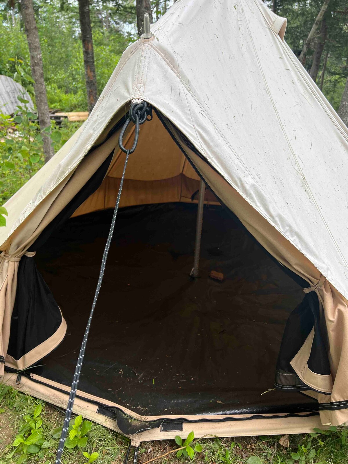 Woodland Hideaway钟形帐篷