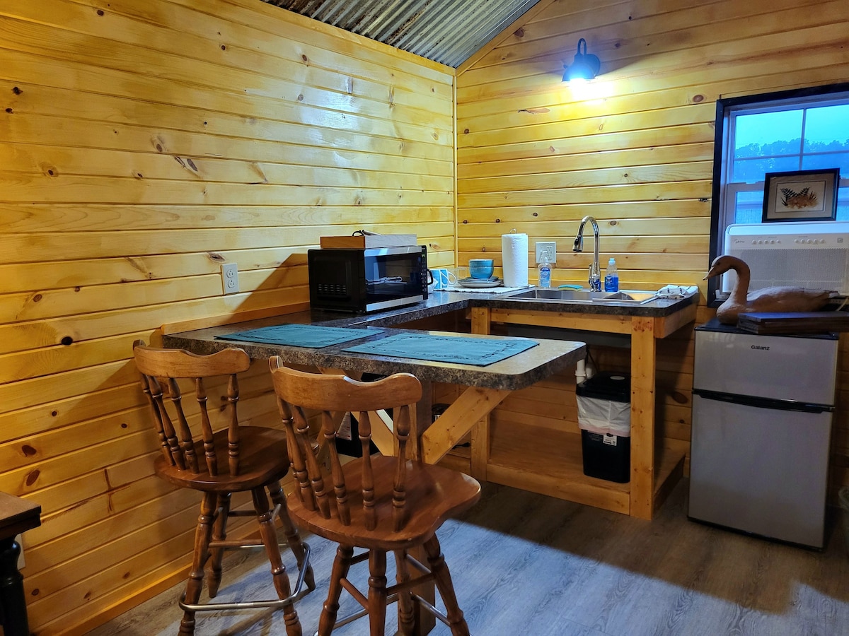Rustic Woodchuck Cabin with Lakeview