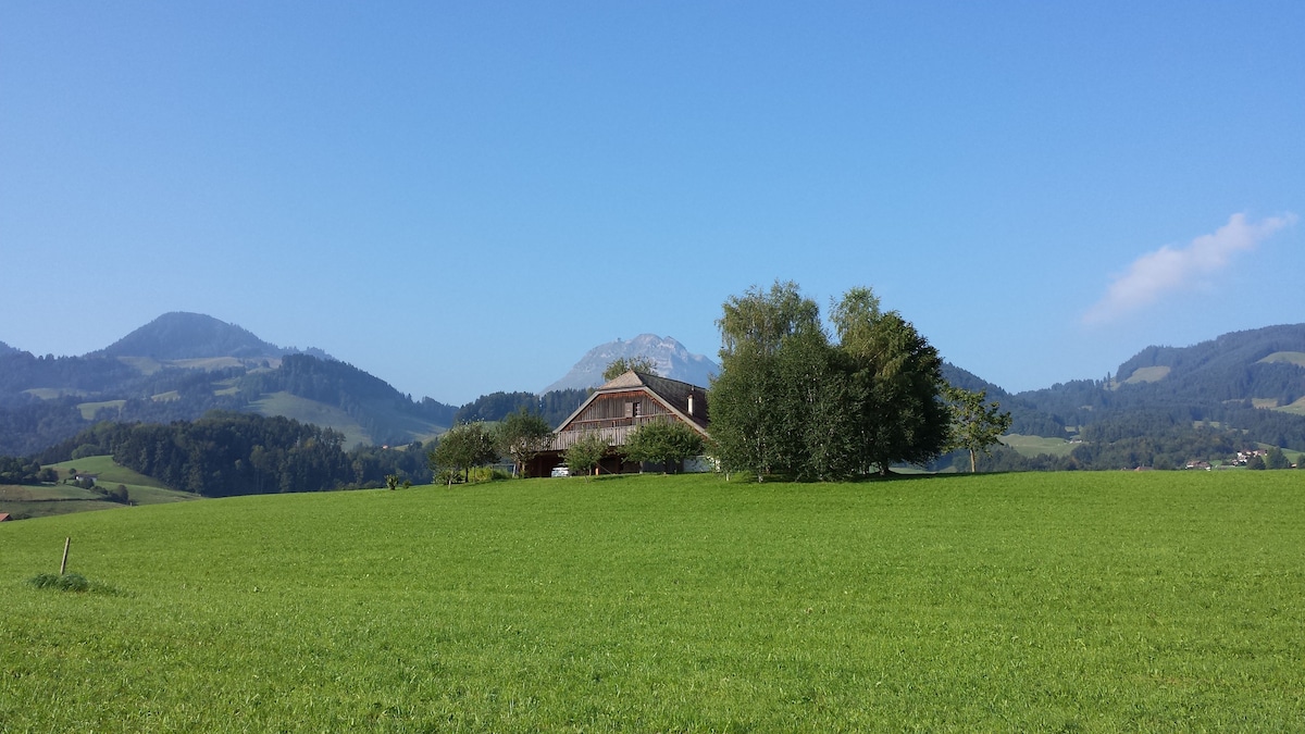 美丽的农场，山景