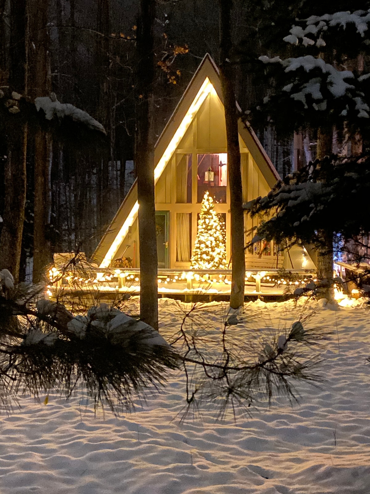 森林中的滑雪度假木屋-年四周的度假胜地！ ！