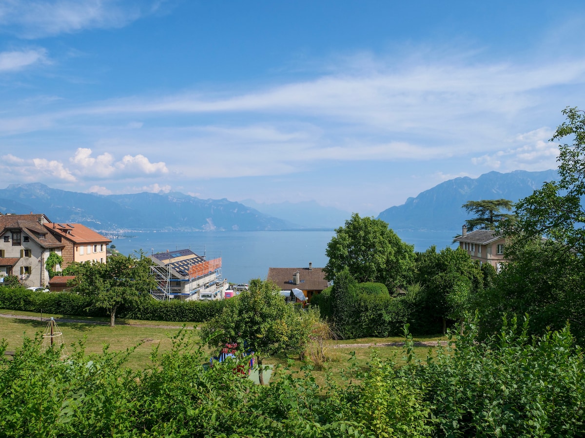 在Lausanne和Montreu之间的葡萄园Lavaux