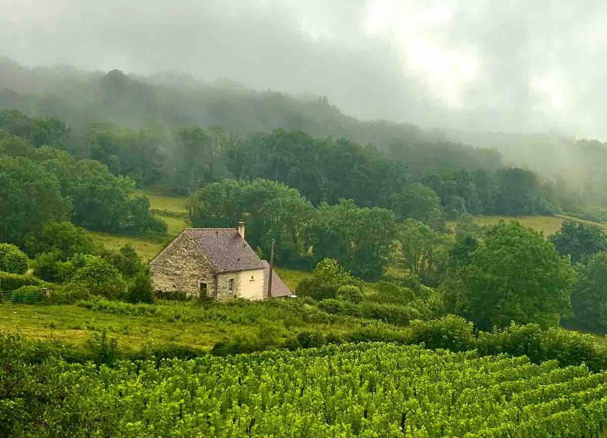 La Salle des Vignes