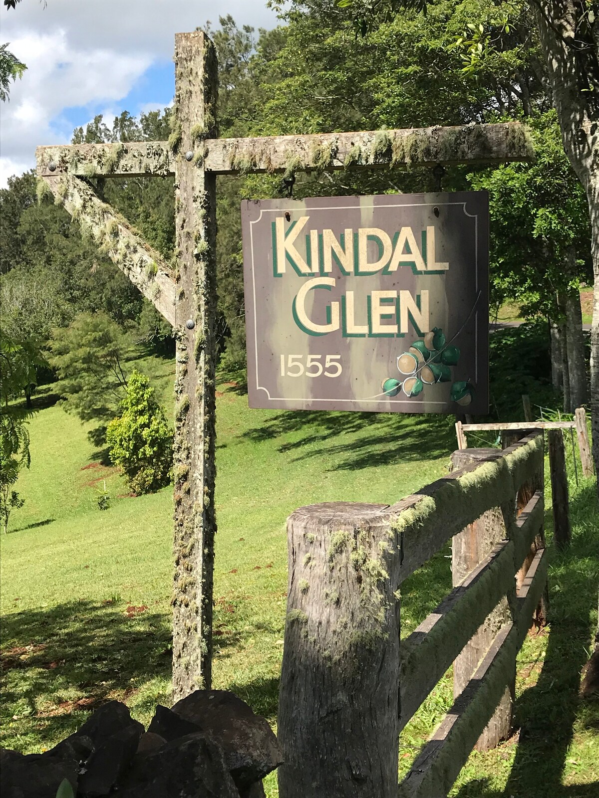 Kindal Glen-Dunoon Byron Hinterland Macadamia农场