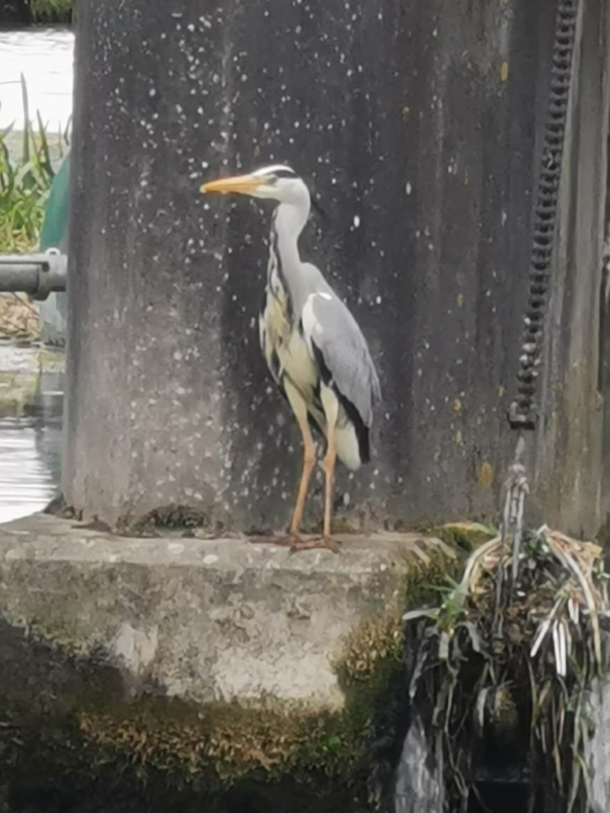 湖畔自助餐厅