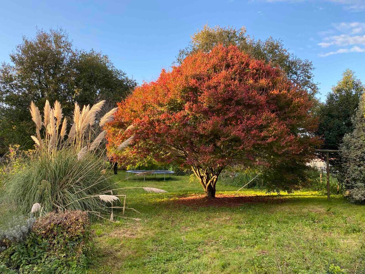 Pretty 3 bedroom cottage with large garden.