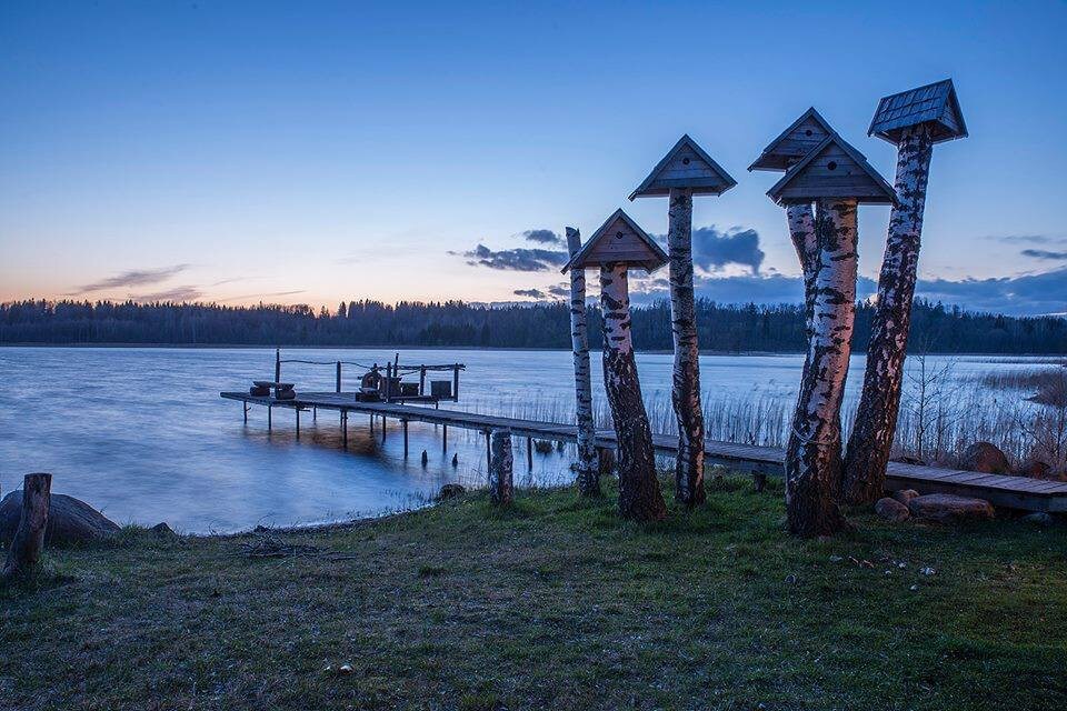 位于生态农场Kemešys的湖畔舒适小木屋