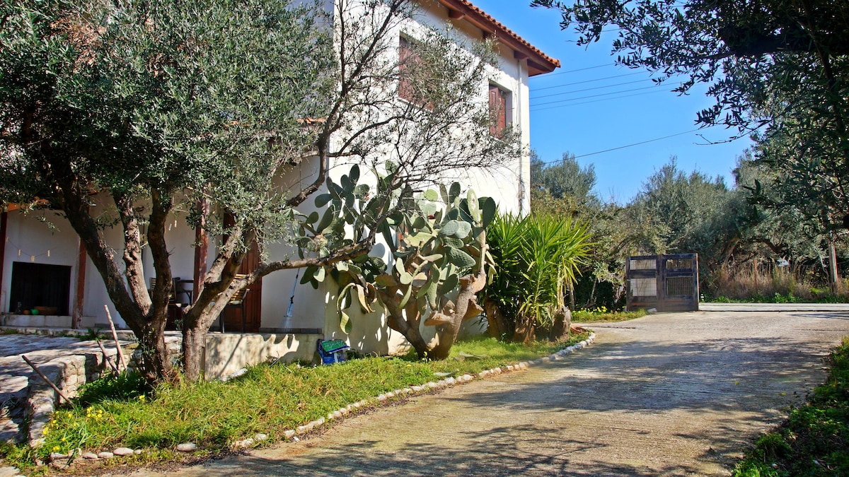 拉达斯别墅（ Villa Ladas ） ，在里约热内卢帕特拉斯（ Patras ）欣赏