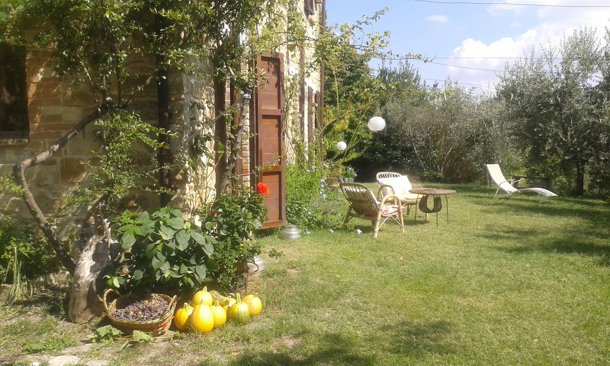 乡村别墅+花园+橄榄树和果树