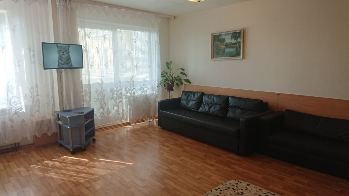 Vilnius 1的舒适公寓租赁