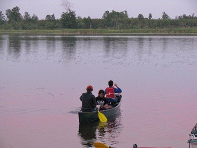 Lake front w/kayaks, canoe, paddleboat
